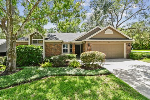 344 CASCADE LANE PALM HARBOR FL 34684