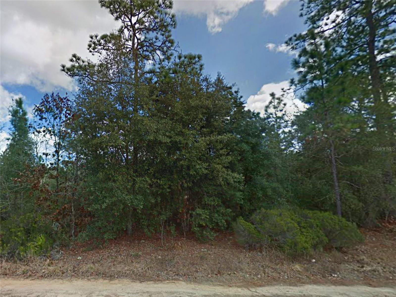 INTERLACHEN LAKES ESTATES - Land