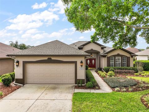 7034 PINE HOLLOW DRIVE MOUNT DORA FL 32757