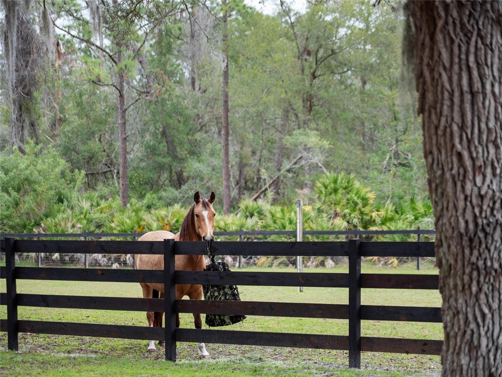 NO SUBDIVISION - Residential