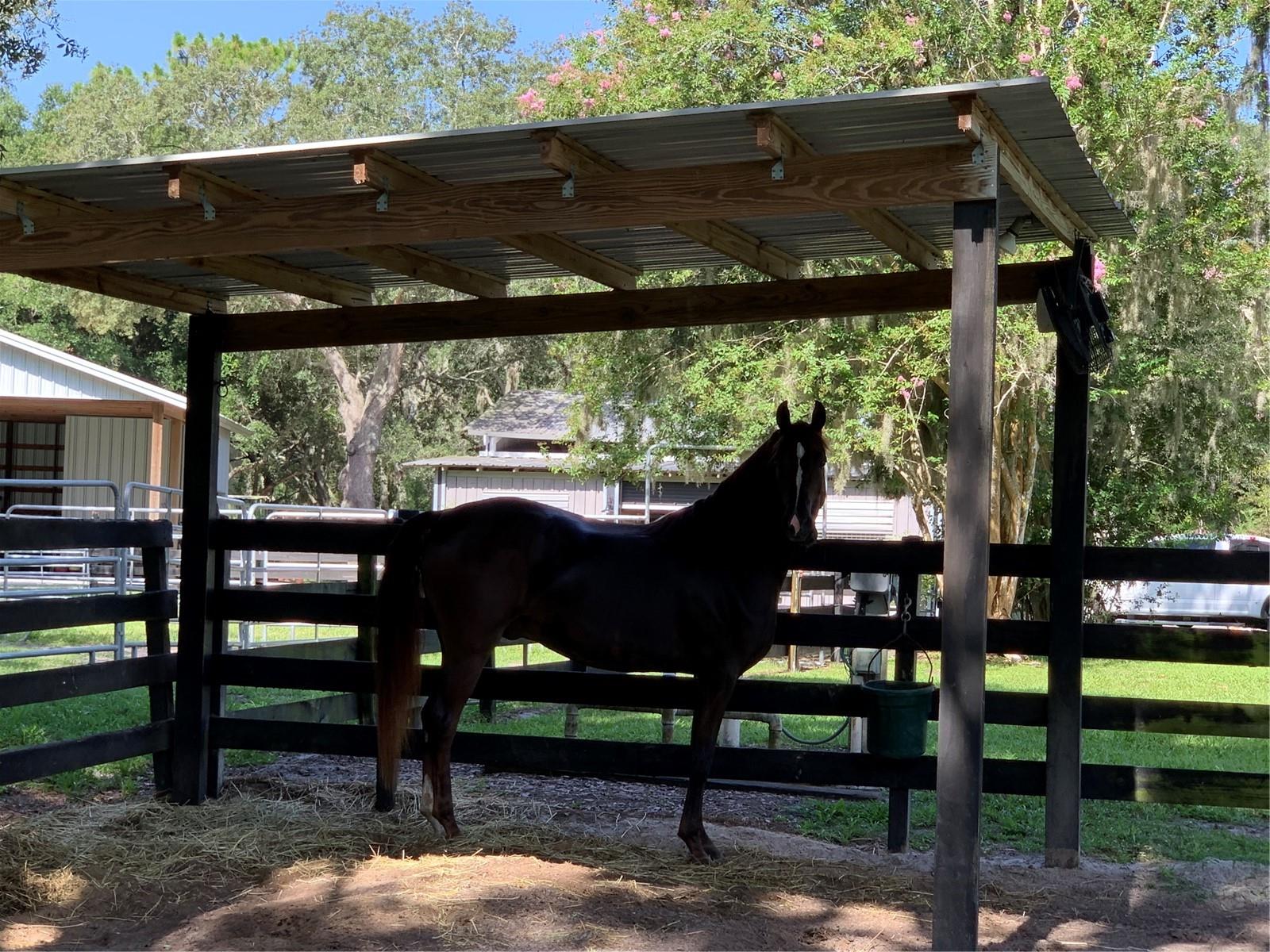 NO SUBDIVISION - Residential