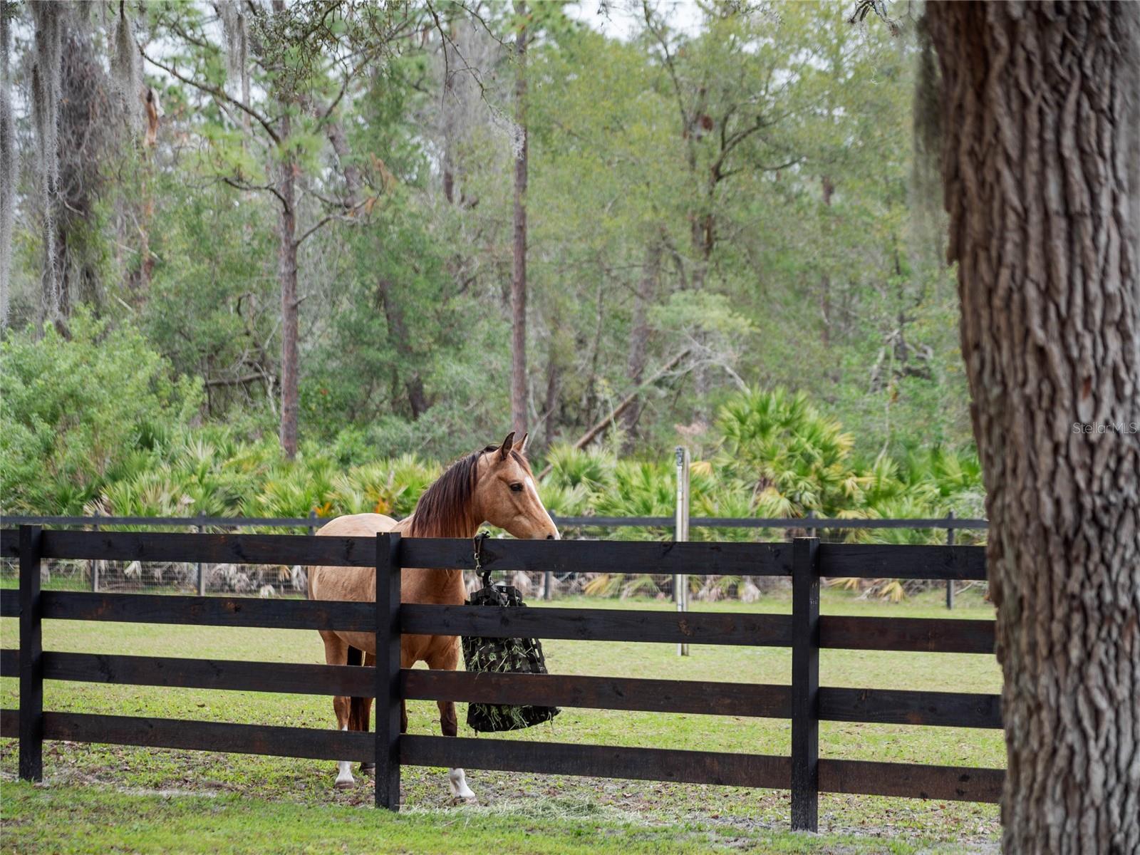 NO SUBDIVISION - Residential