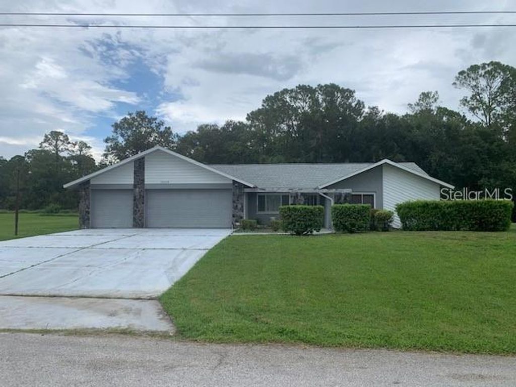Photo of 35209 Dolphin Lake Drive, Zephyrhills, FL 33541 (MLS # TB8378494)
