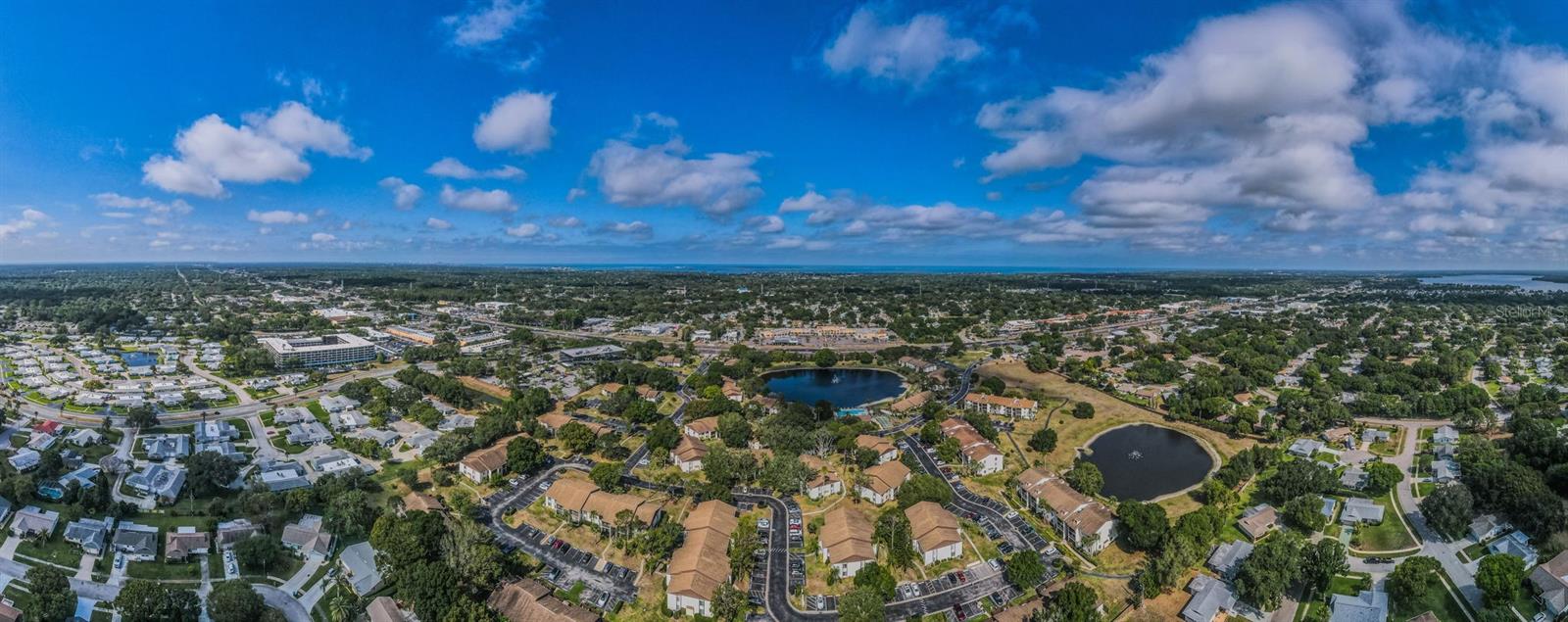 PINE RIDGE AT PALM HARBOR - Residential