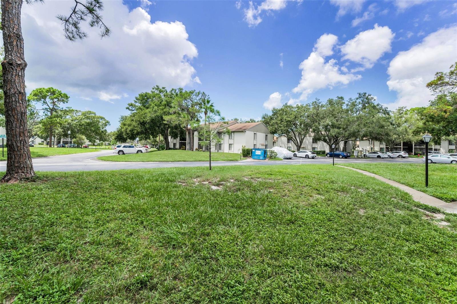 PINE RIDGE AT PALM HARBOR - Residential