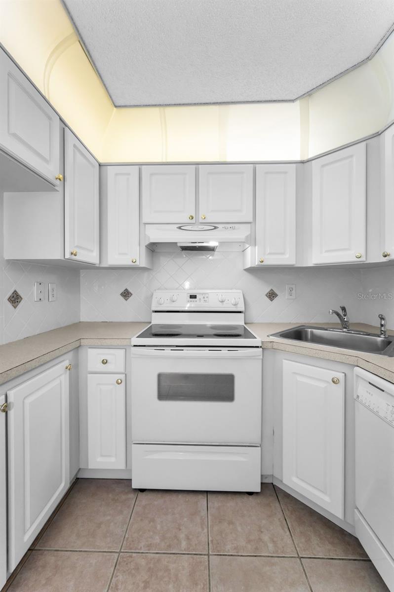 PINE RIDGE AT PALM HARBOR - Residential