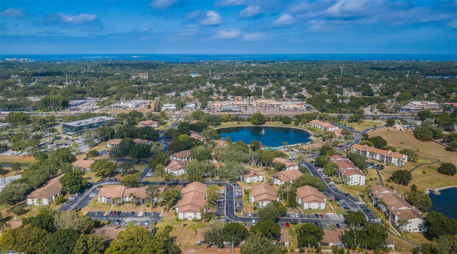 PINE RIDGE AT PALM HARBOR - Residential