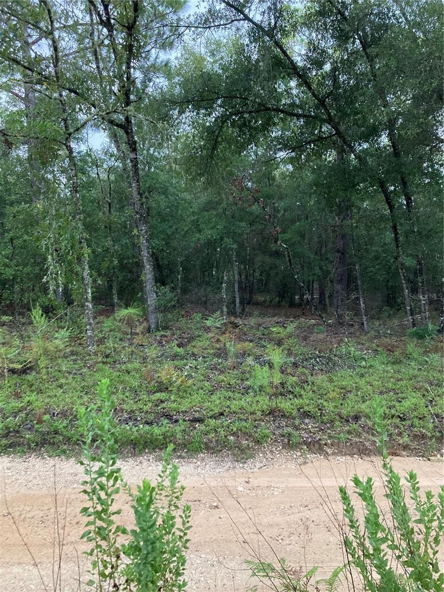 Wooded 1.25 acres!  No deed restrictions, no HOA!  Country quiet but still convenient to everything.  Mobile home or site built ok.  Enjoy the private surroundings and lower property taxes!  Approximately 45 mins from Ocala and Gainesville; approximately 60 mins from Crystal River.
