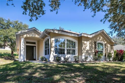 Tiny photo for 13320 Via Roma Circle, Clermont, FL 34711 (MLS # G5104093)