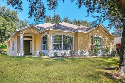 Photo of 13320 Via Roma Circle, Clermont, FL 34711 (MLS # G5104093)