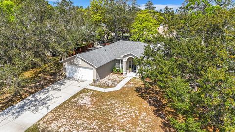 A home in SPRING HILL