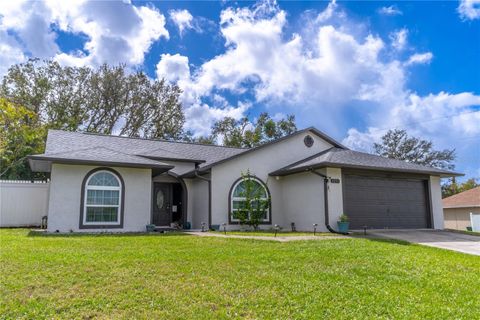 A home in DELTONA