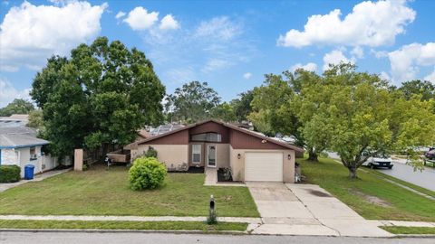 Photo of 5653 Lima Drive, Holiday, FL 34690 (MLS # W7886994)