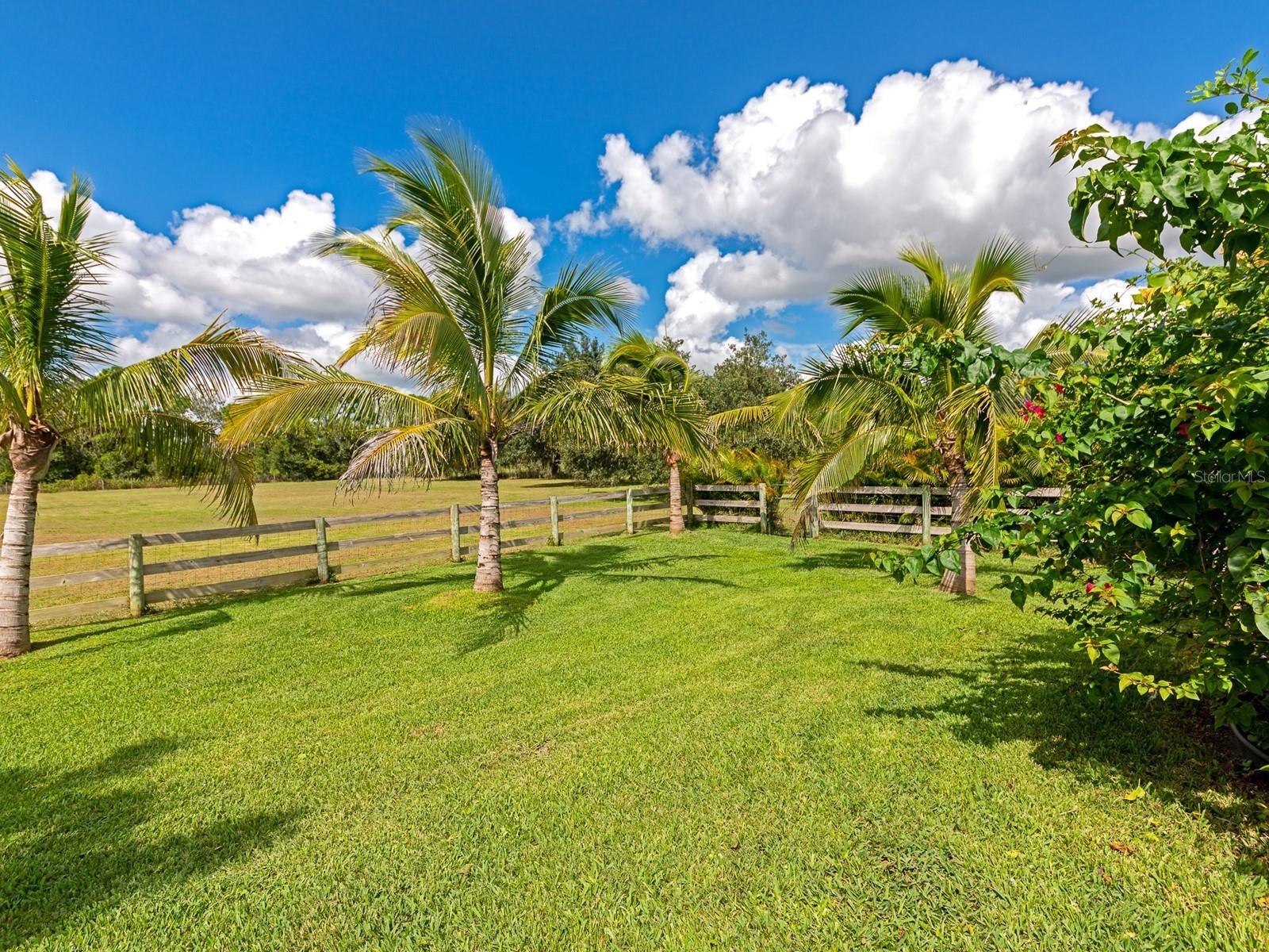 DEER HAMMOCK - Residential