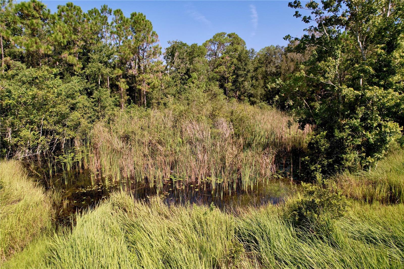 BEAR CREEK ESTATES - Land