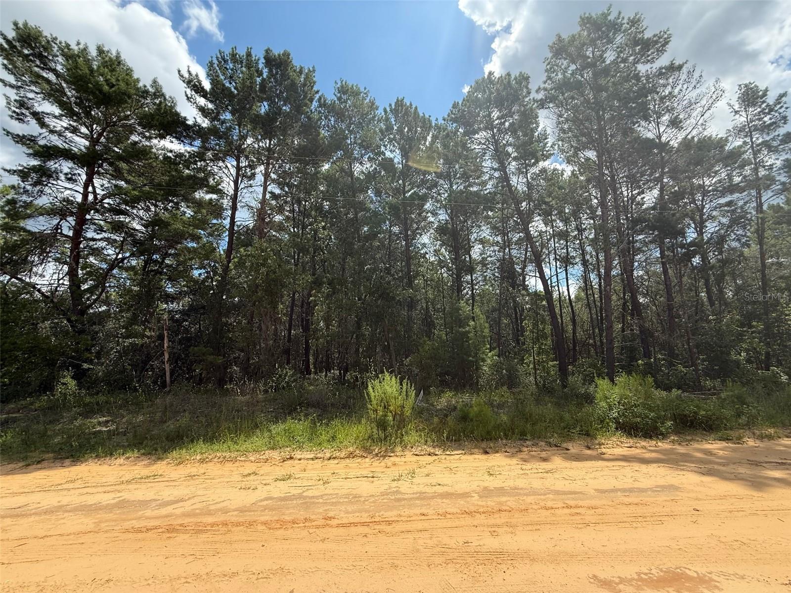 Located in the desirable Interlachen Lakes Estates community, this lot offers the perfect opportunity to create your Florida getaway, permanent residence, or investment property. Surrounded by dozens of beautiful lakes, you’ll enjoy easy access to boating, fishing, and all the outdoor adventures North Florida is known for. This peaceful neighborhood provides a quiet, rural feel while still being just a short drive to Palatka, Gainesville, and Keystone Heights for shopping, dining, and entertainment. Whether you’re looking to build now or hold for the future, this property offers endless potential.