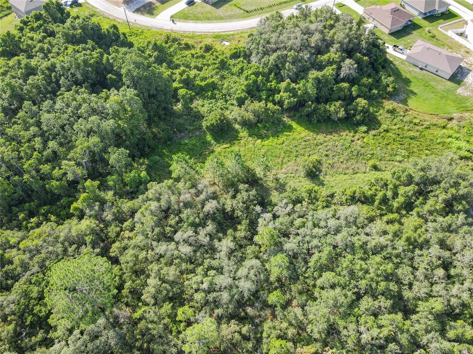 POINCIANA NBRHD 06 VILLAGE 07 - Land