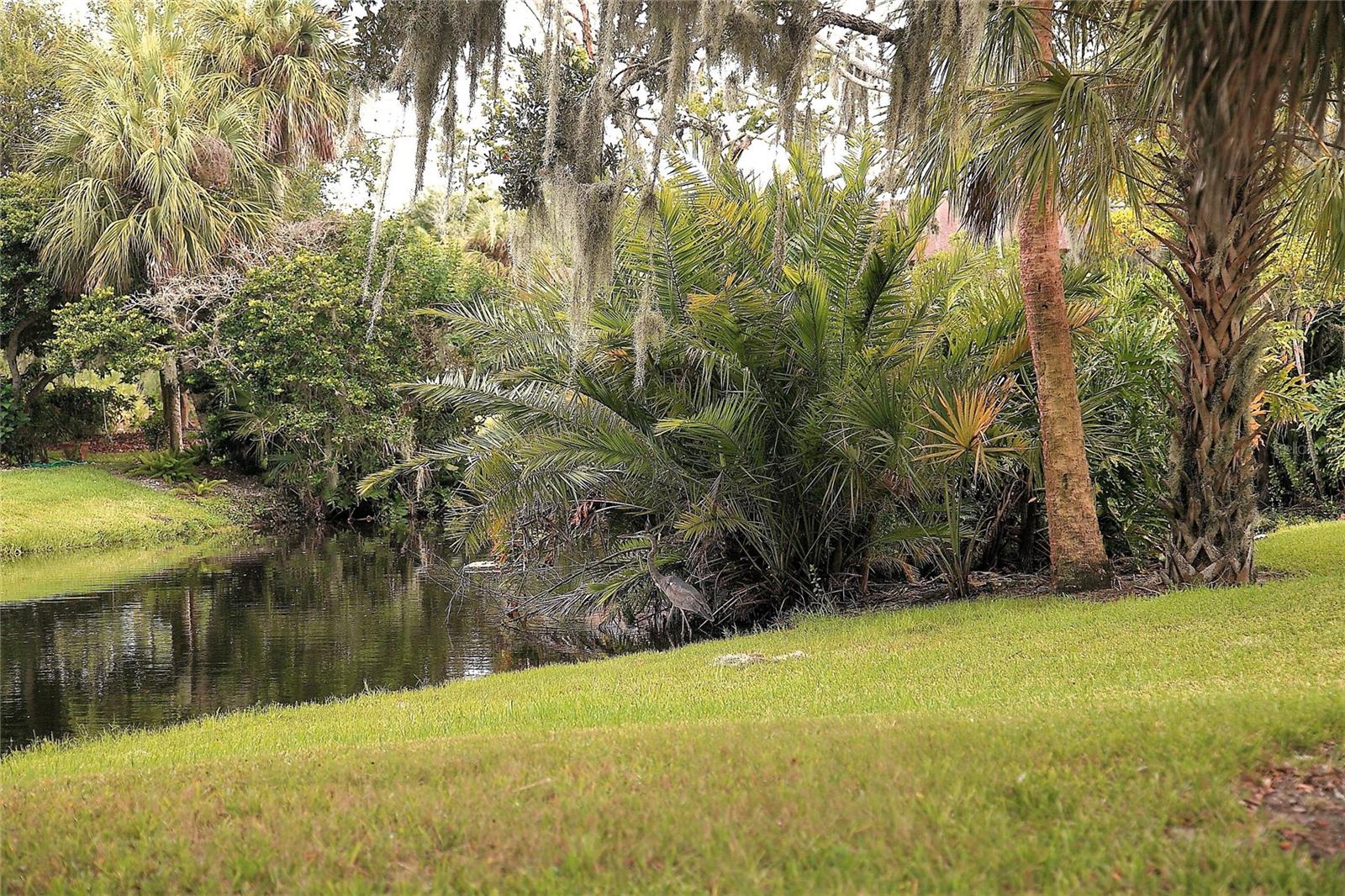 TIMBER CREEK CONDO TWO - Residential Lease