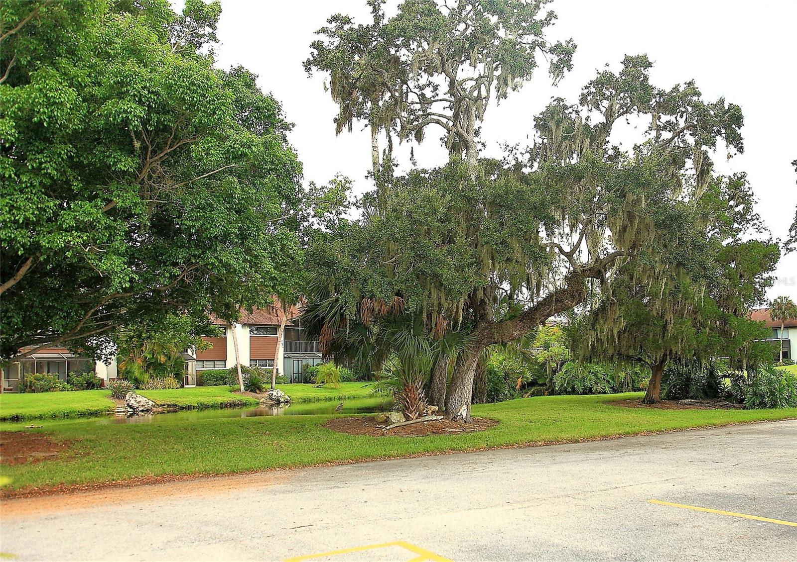 TIMBER CREEK CONDO TWO - Residential Lease