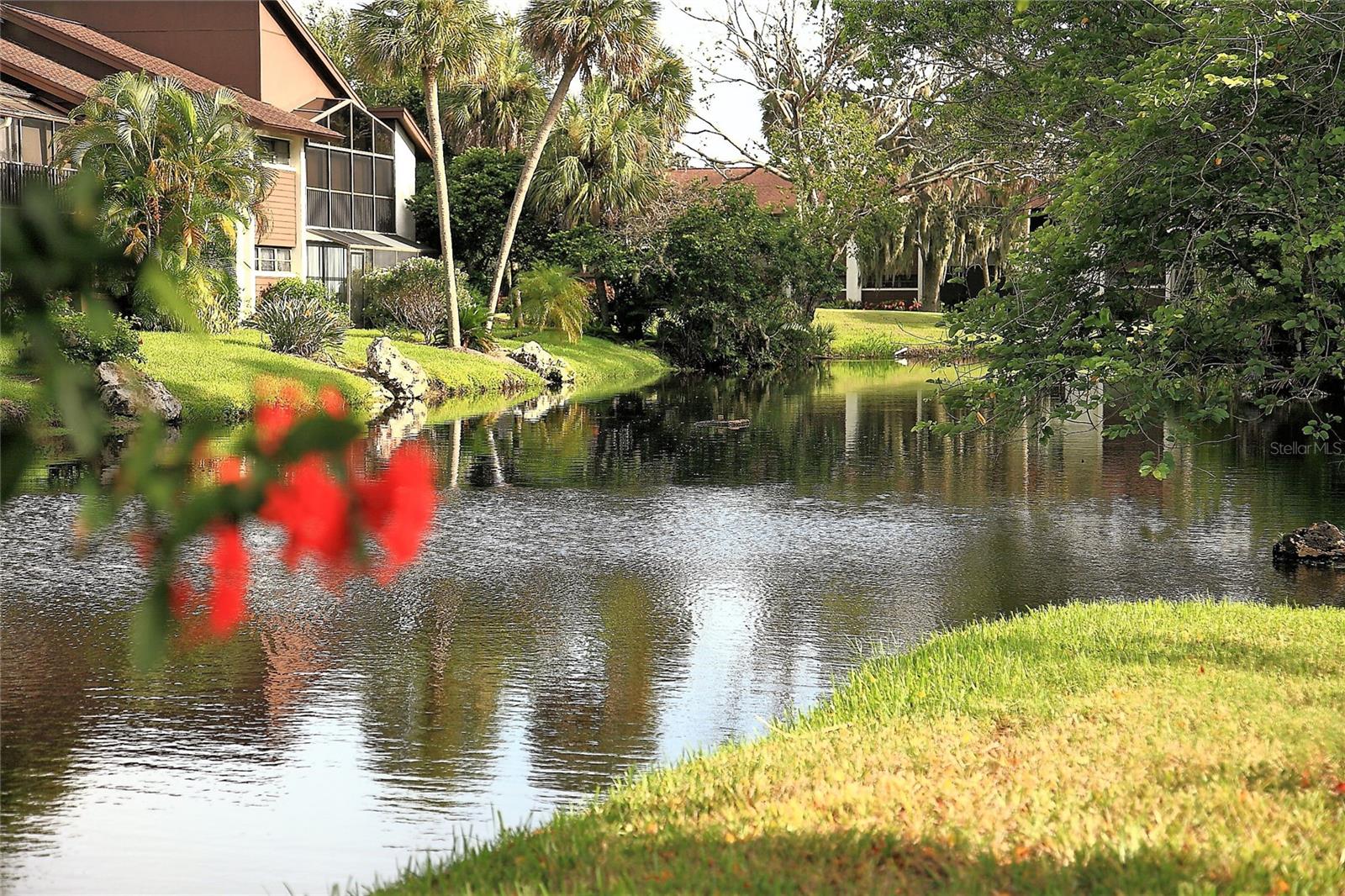 TIMBER CREEK CONDO TWO - Residential Lease