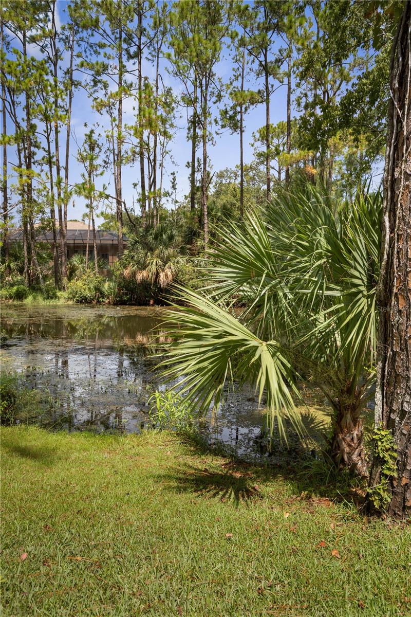 PALM COAST SEC 23 - Residential