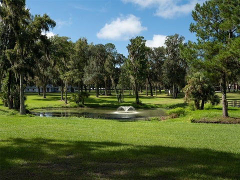 Tiny photo for 7970 NW 120th Street, Reddick, FL 32686 (MLS # OM731407)