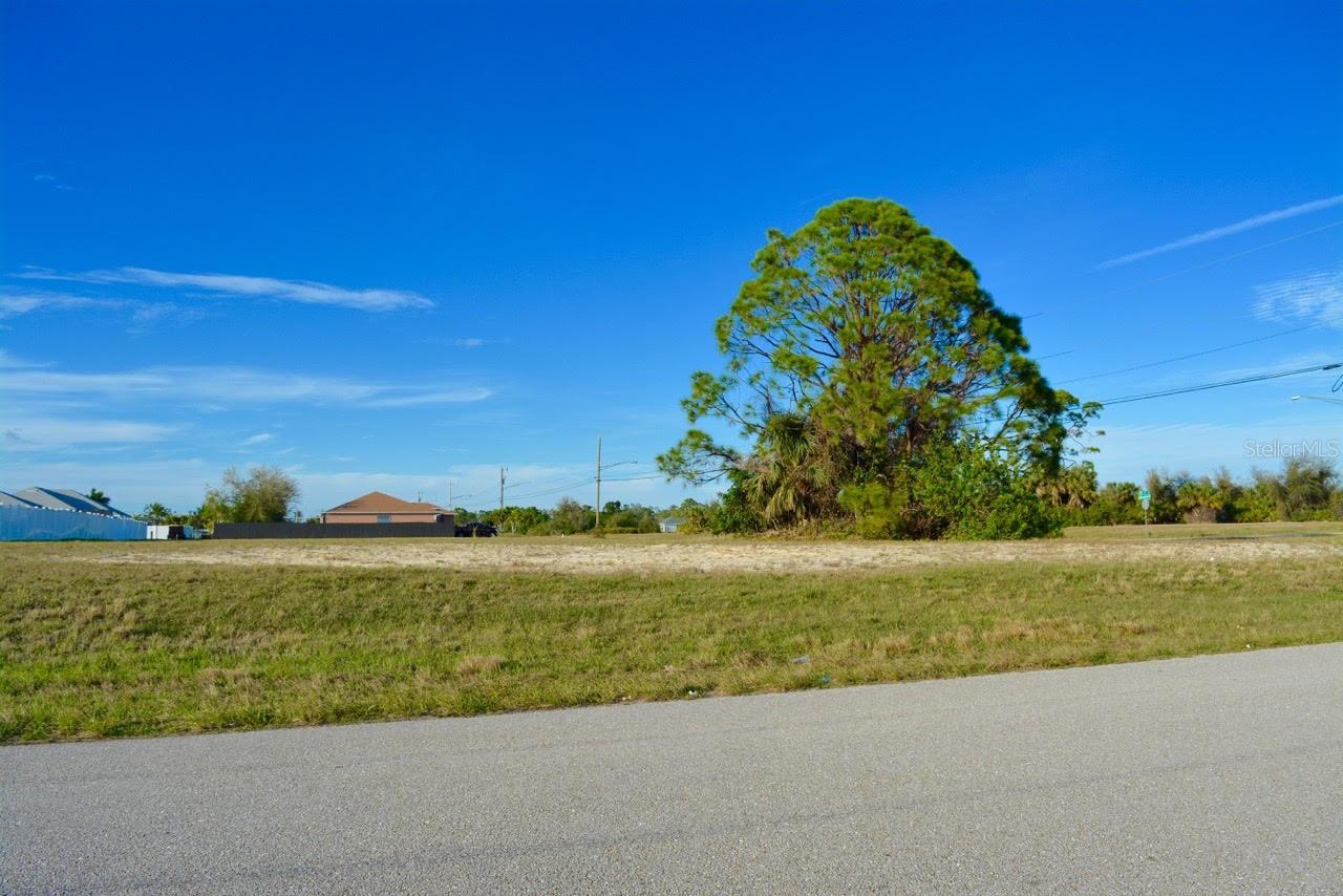 Build your dream home on this corner lot in beautiful Cape Coral, known for its miles of freshwater and saltwater canals, and just a short drive to Punta Gorda and North Fort Myers. Home to manatees, Sirenia Vista Park has kayak routes to Matlacha Pass Aquatic Preserve, where birds wade amid mangroves. This area is conveniently located near retail shops, grocery stores, eateries, schools, parks, and health care facilities, as well as boating and fishing, and the excellent tropical climate makes Cape Coral a great place to live. This property is priced to sell! INFORMATION IS DEEMED RELIABLE BUT NOT GUARANTEED…TO BE VERIFIED BY THE BUYER AND/OR BUYER'S AGENT, INCLUDING UTILITIES.