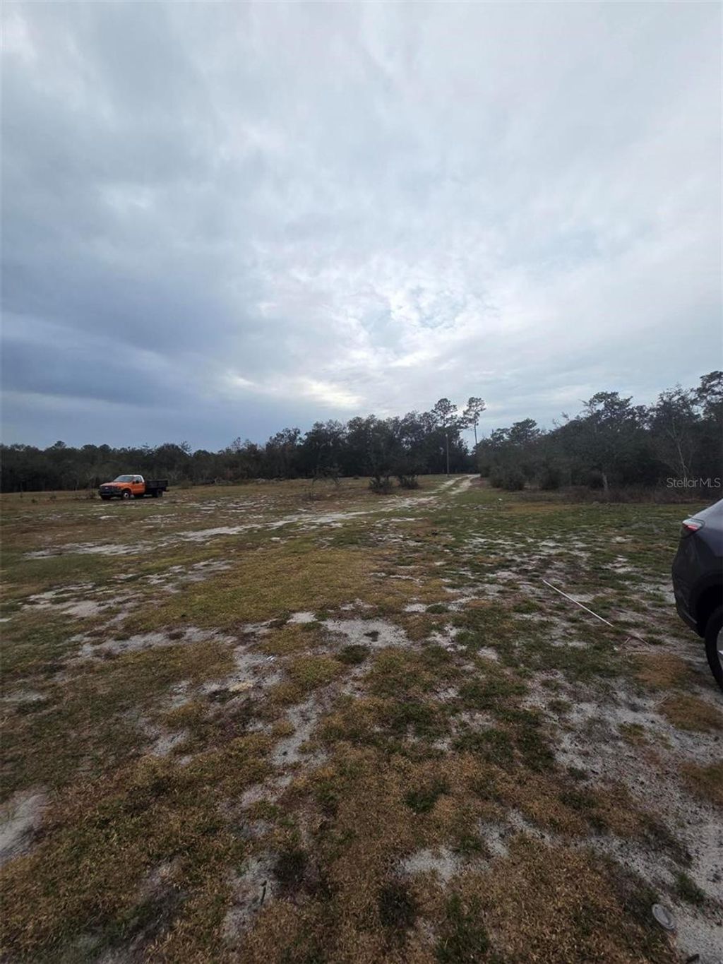 Photo of 35238 Manuel Street, Webster, FL 33597 (MLS # TB8459485)