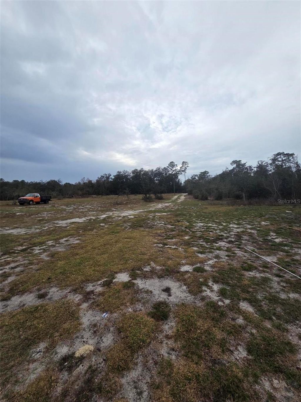 Photo of 35238 Manuel Street, Webster, FL 33597 (MLS # TB8459485)