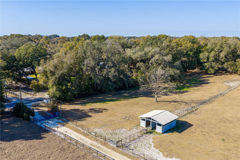 Tiny photo for 4495 SE 150th Street, Summerfield, FL 34491 (MLS # OM719293)