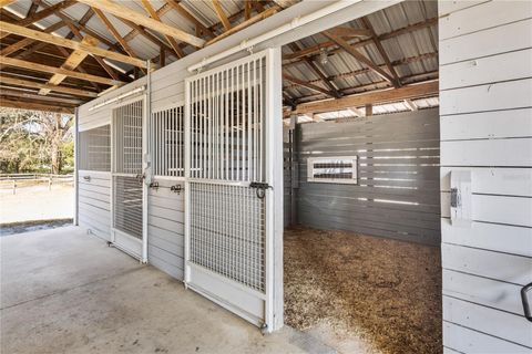 Tiny photo for 4495 SE 150th Street, Summerfield, FL 34491 (MLS # OM719293)