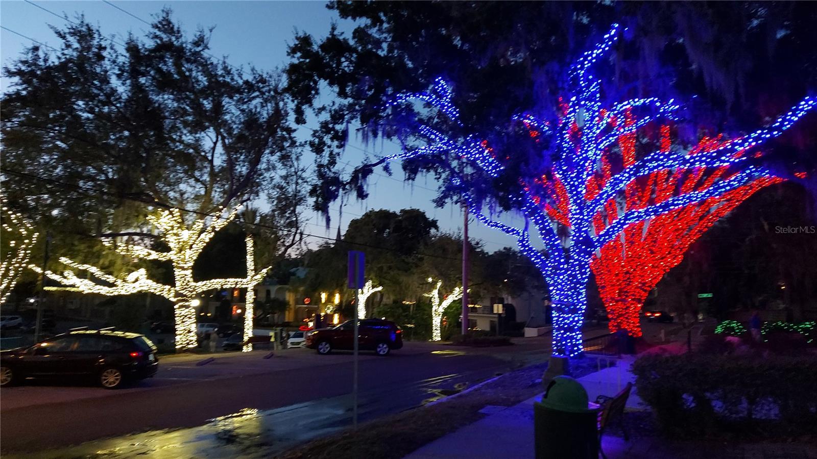 MOUNT DORA - Residential Lease