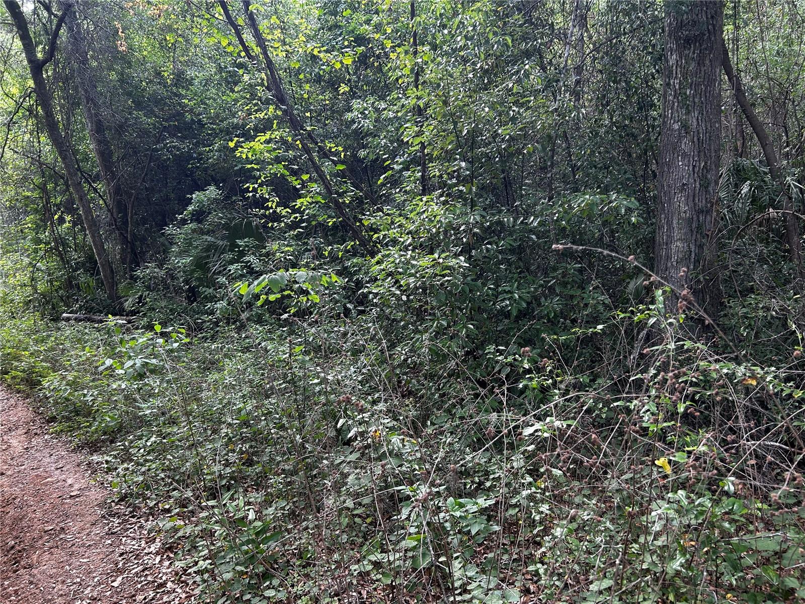 SILVER PALMS ESTATE - Land