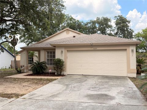 Photo of 1025 Malletwood Drive, Brandon, FL 33510 (MLS # TB8529739)