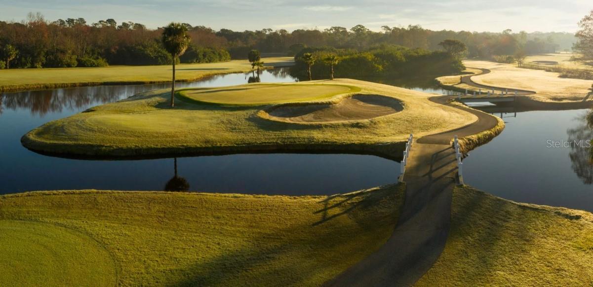 MONTROSE AT INNISBROOK - Residential