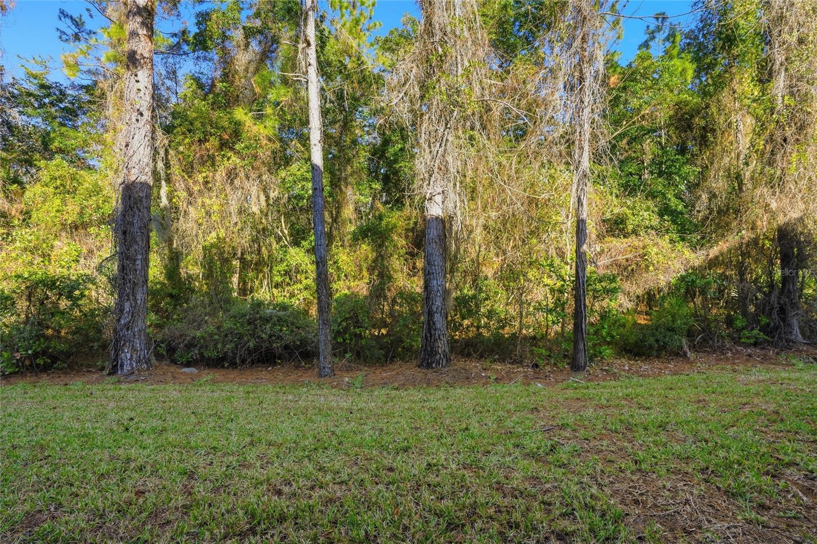 COTTAGES/STONEY CRK CONDO - Residential