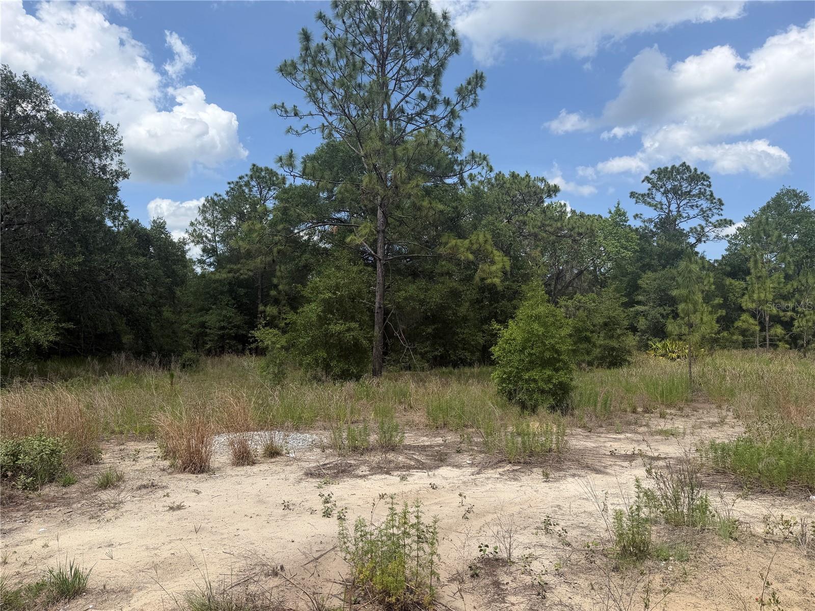 Search Properties for Sale 2 TBD SW 145TH CT