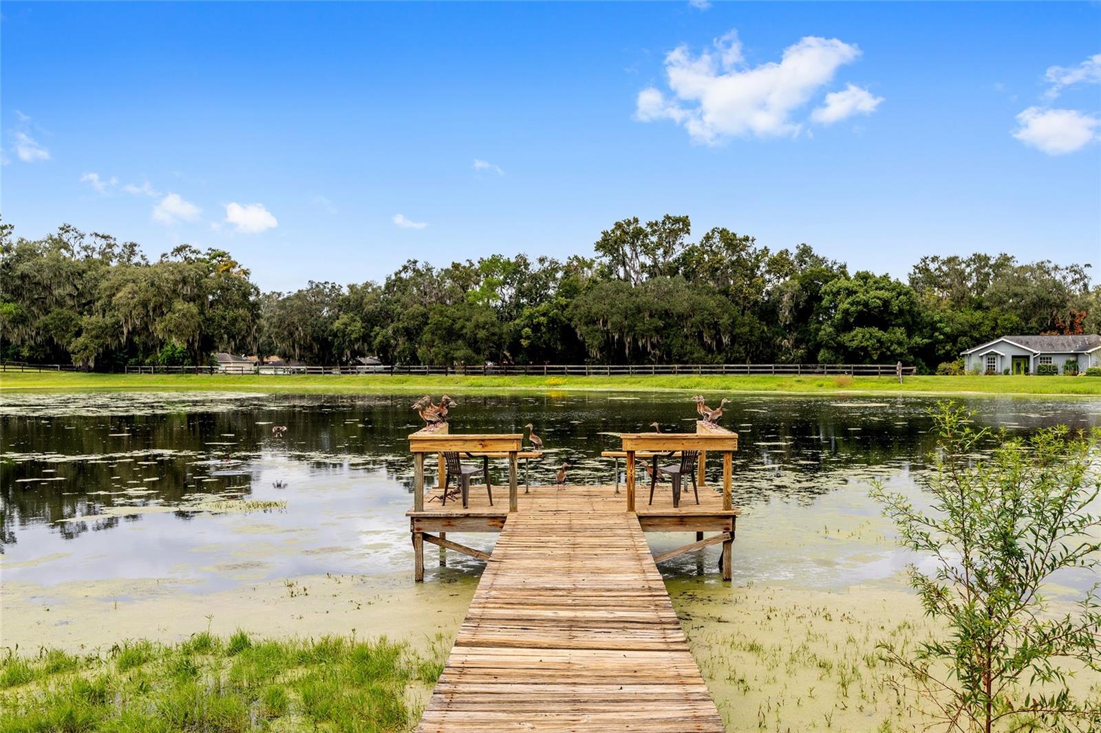 NICHOLAS ESTATE - Residential