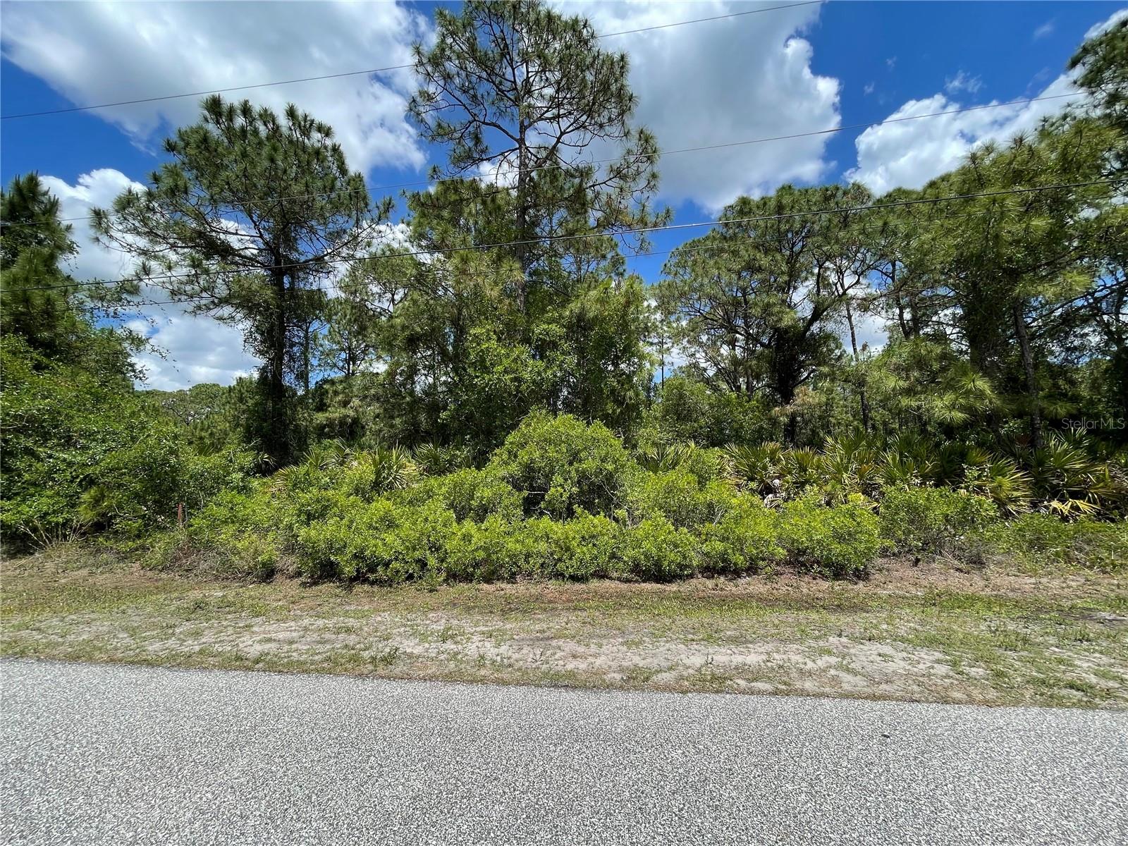 BACKING UP TO GREENBELT. FAST GROWING CITY OF NORTH PORT LOT IS AVAILABLE FOR YOUR DREAM HOME. BUILD YOURSELF OR HAVE ONE OF THE FINEST LOCAL BUILDERS DO IT FOR YOU. SANDY BEACHES, SHOPPING/RESTAURANTS ARE JUST FEW MILES AWAY. FAMOUS WARM MINERAL SPRINGS, AQUATIC CENTER FOR YOUR FAMILY'S ADVENTURES.CITY OF NORTH PORT OFFERS MORE THAN 400 ACRES OF PARKLAND,3 RECREATIONAL FACILITIES, NUMEREOUS PROGRAMS AND SPECIAL EVENTS, MORE THAN 80 MILES OF FRESH WATER CANALS,1 STATE PARK, MYAKKA RIVER. ALL FOR YOUR ENJOYMENT WITHING SHORT DISTANCE. NORTH PORTIS ALSO HOME FOR ATLANTA BRAVES SPRING TRAINING FOR BASEBALL FANS.