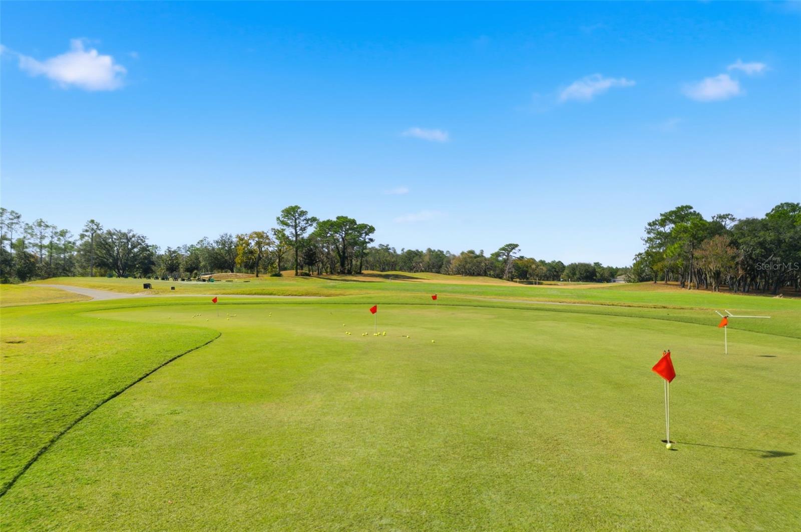 SOUTHERN WOODS AT SUGARMILL WOODS - Residential