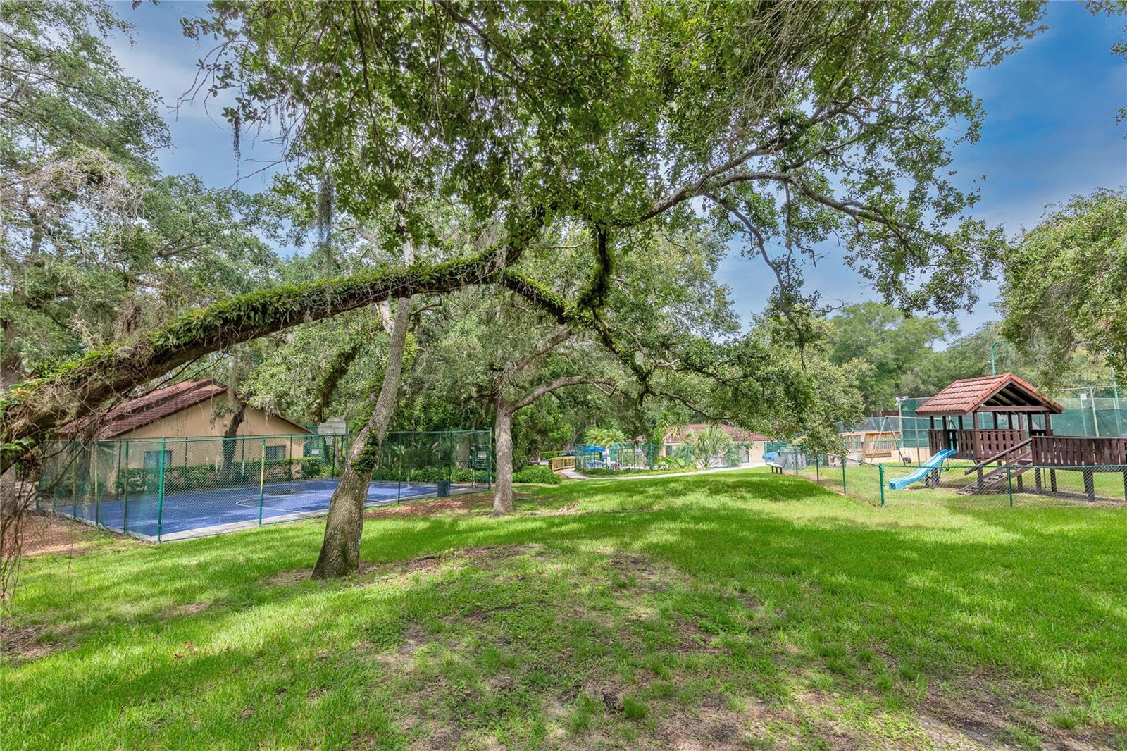 WEDGE WOOD OF PALM HARBOR - Residential