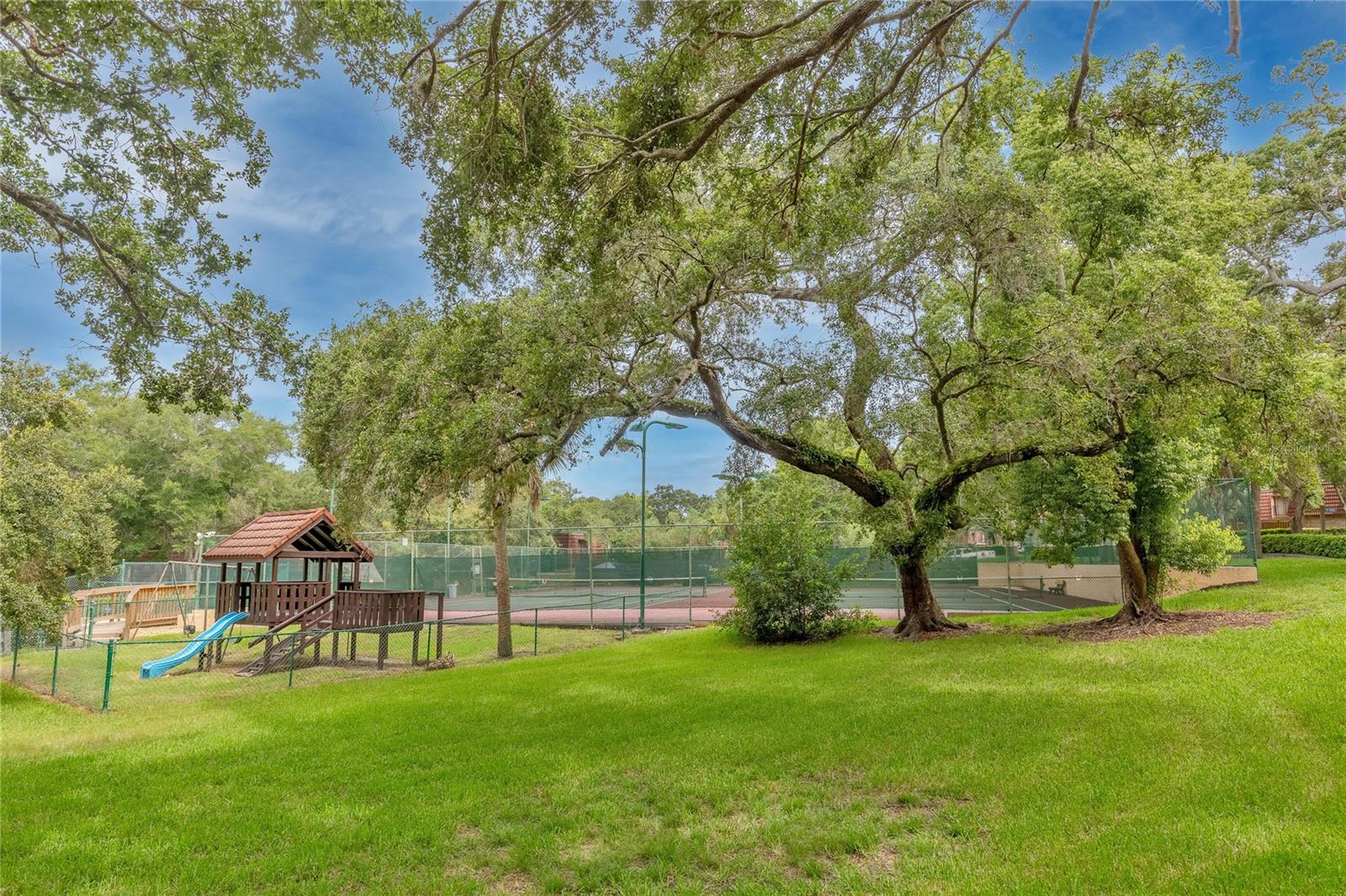 WEDGE WOOD OF PALM HARBOR - Residential