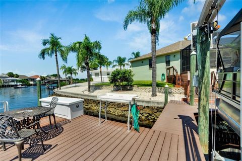 A home in APOLLO BEACH