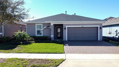 Photo of 209 Silver Maple Road, Groveland, FL 34736 (MLS # G5111889)