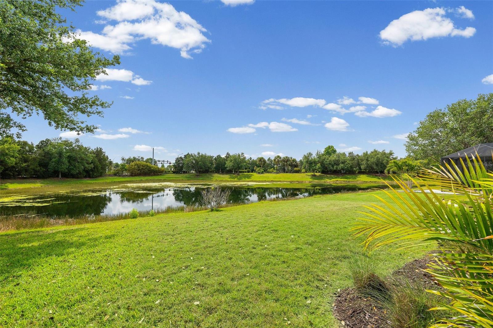 CENTRAL PARK SUBPHASE B-2B - Residential