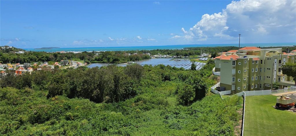 Photo of Ceiba, PR 00735 (MLS # PR9120570)