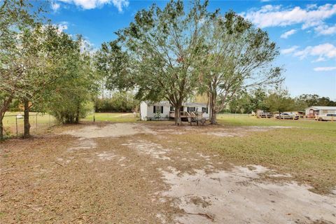 A home in PLANT CITY