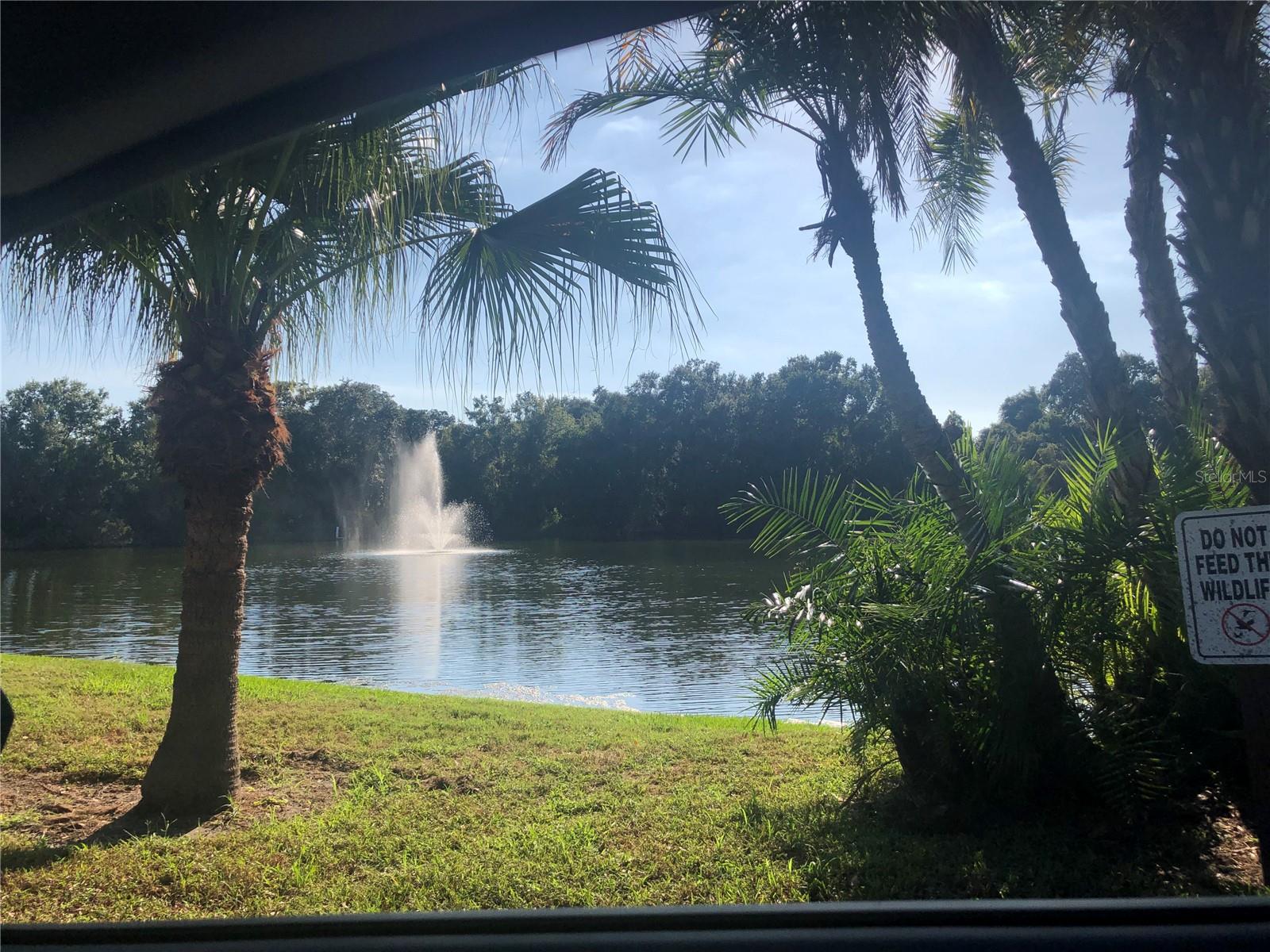 WEDGE WOOD OF PALM HARBOR - Residential Lease