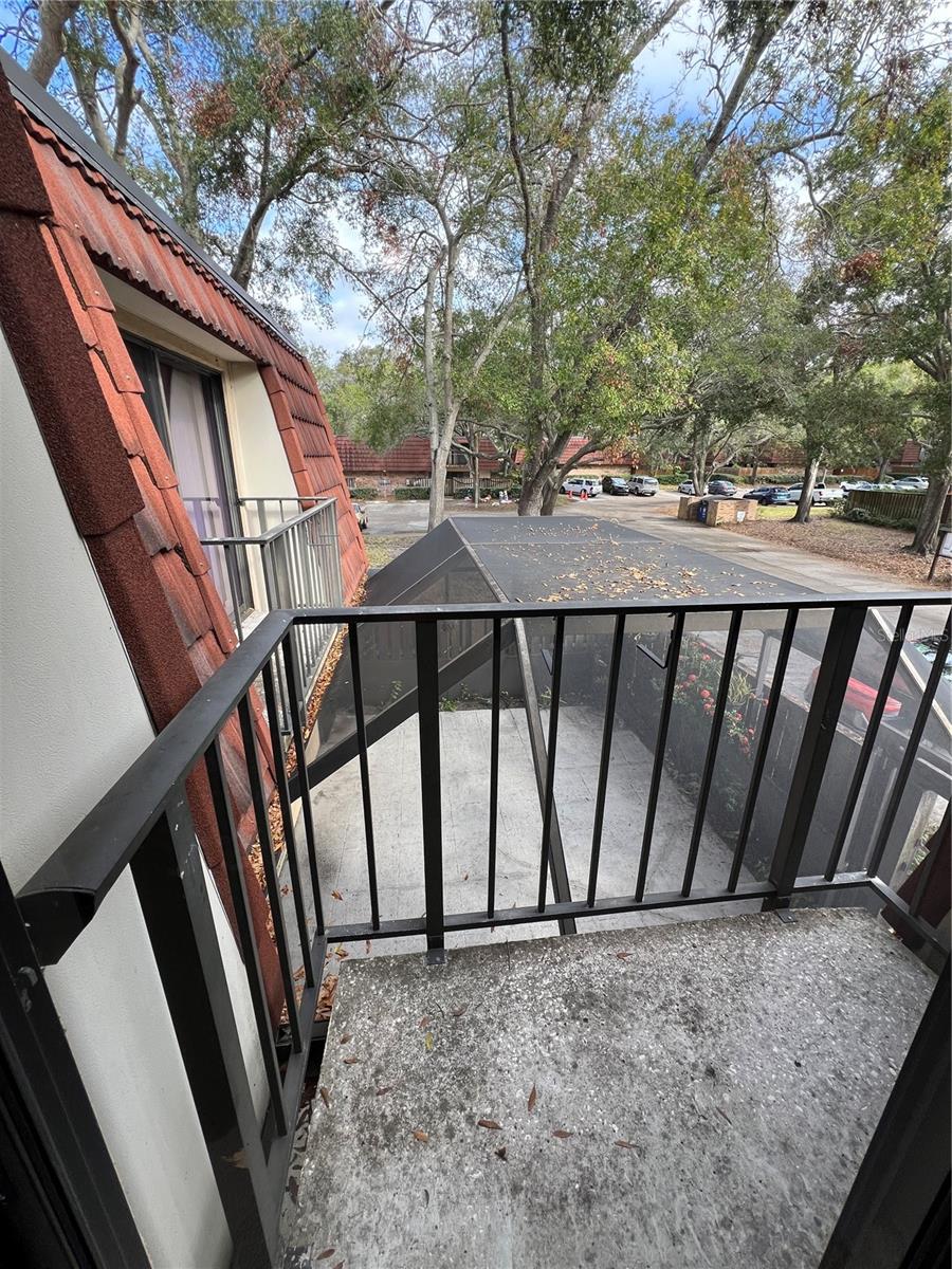 WEDGE WOOD OF PALM HARBOR - Residential Lease