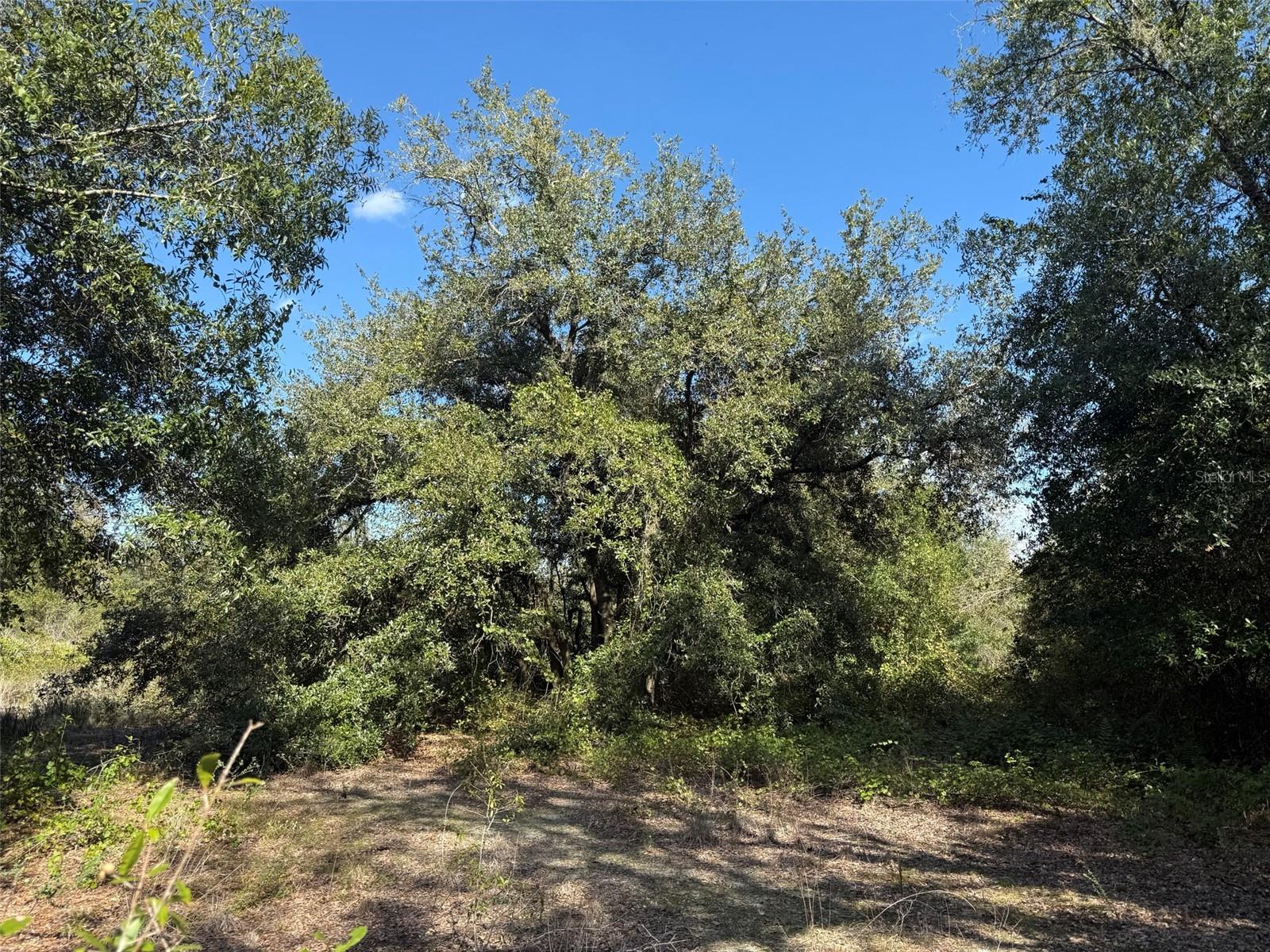 SOUTHERN COLONIZATION CO - Land